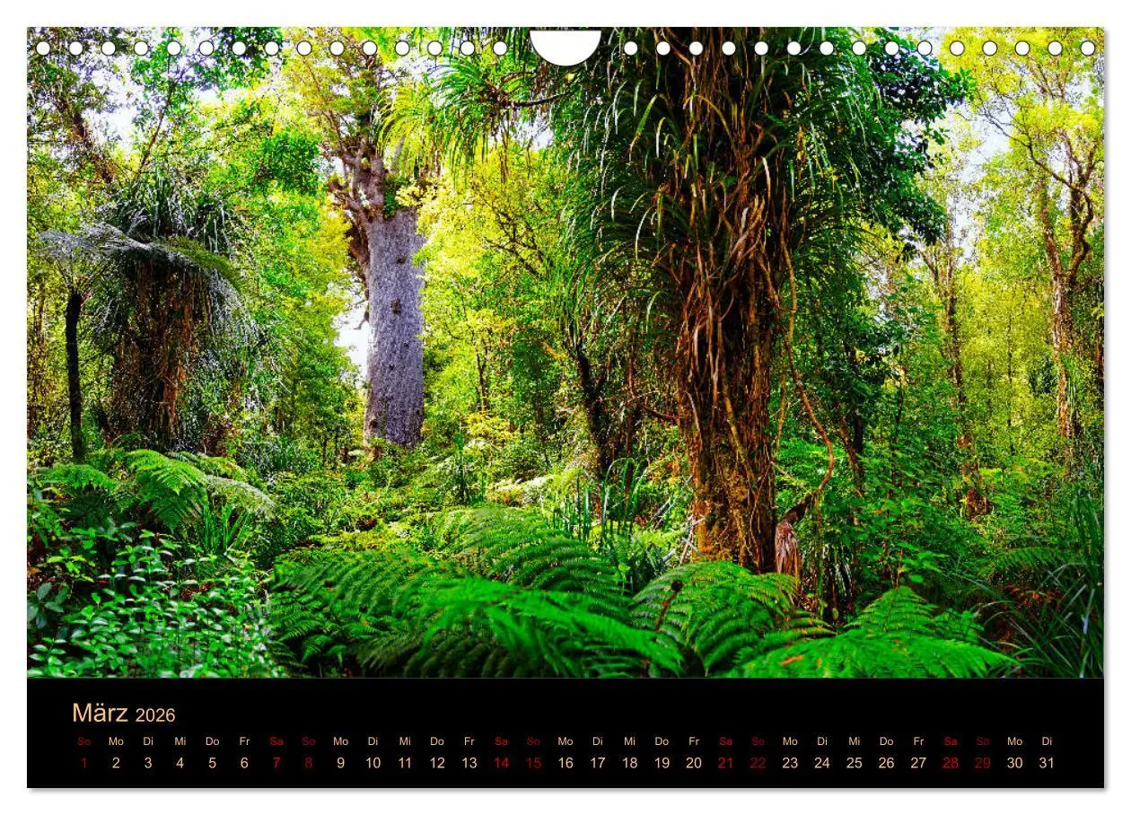Bild: 9783457255520 | Südseetraum Neuseeland (Wandkalender 2026 DIN A4 quer), CALVENDO...