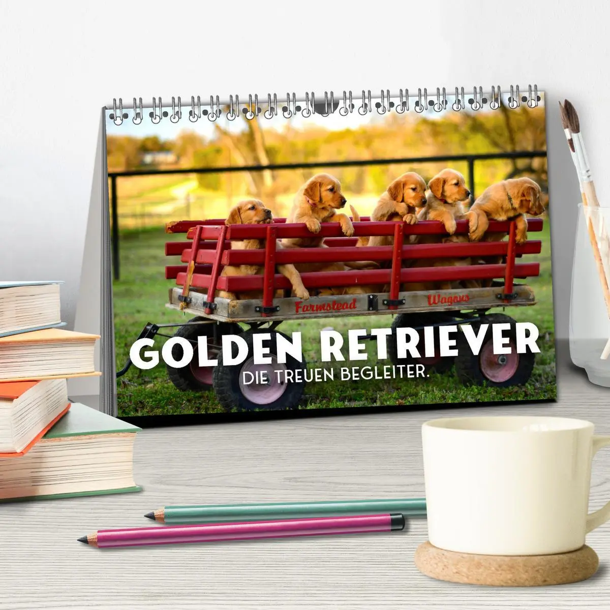 Bild: 9783457565520 | Golden Retriever - Die treuen Begleiter. (Tischkalender 2026 DIN A5...