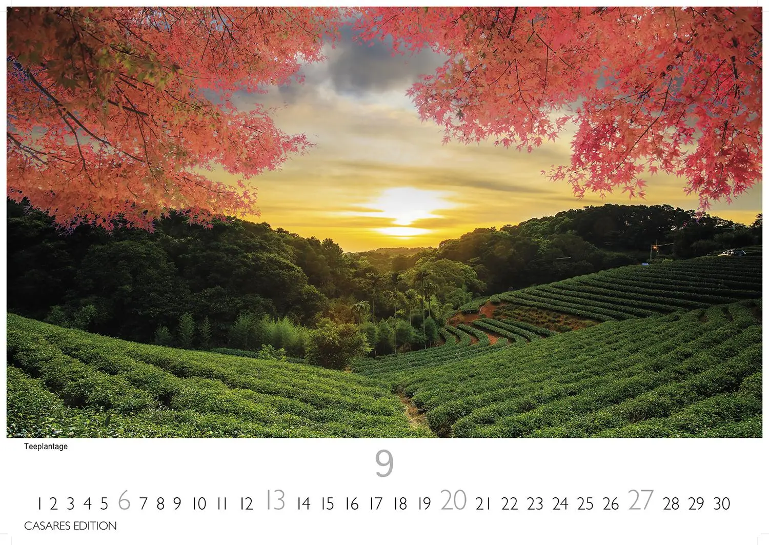 Bild: 9781835245620 | Japan 2026 S 24x35cm | Kalender | 14 S. | Deutsch | 2026