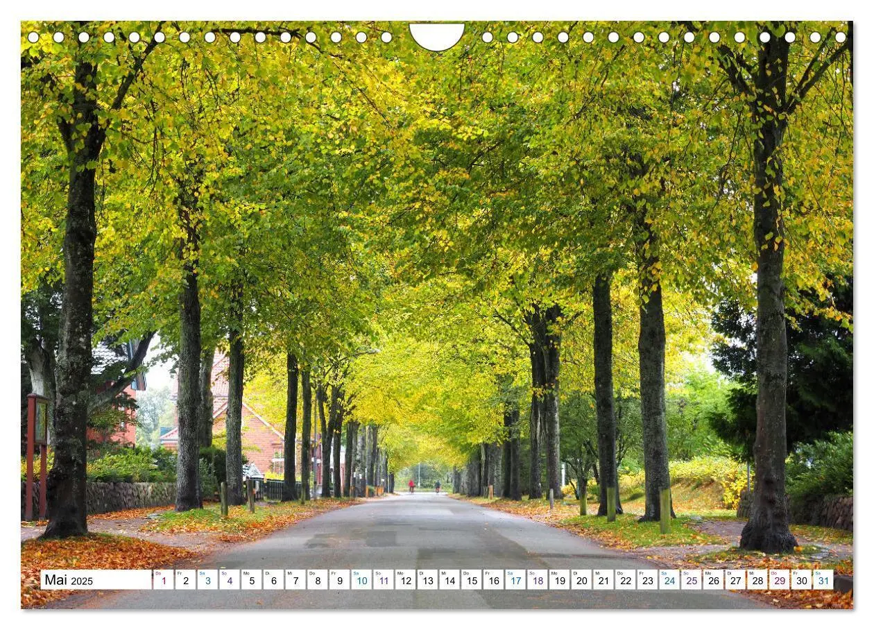 Bild: 9783383995620 | Föhr - Wasser Landschaft Wind und Meer (Wandkalender 2025 DIN A4...