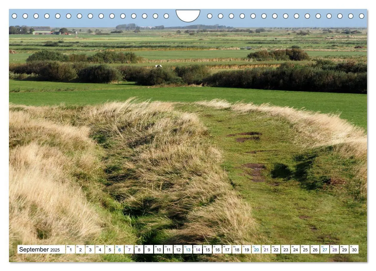 Bild: 9783383995620 | Föhr - Wasser Landschaft Wind und Meer (Wandkalender 2025 DIN A4...