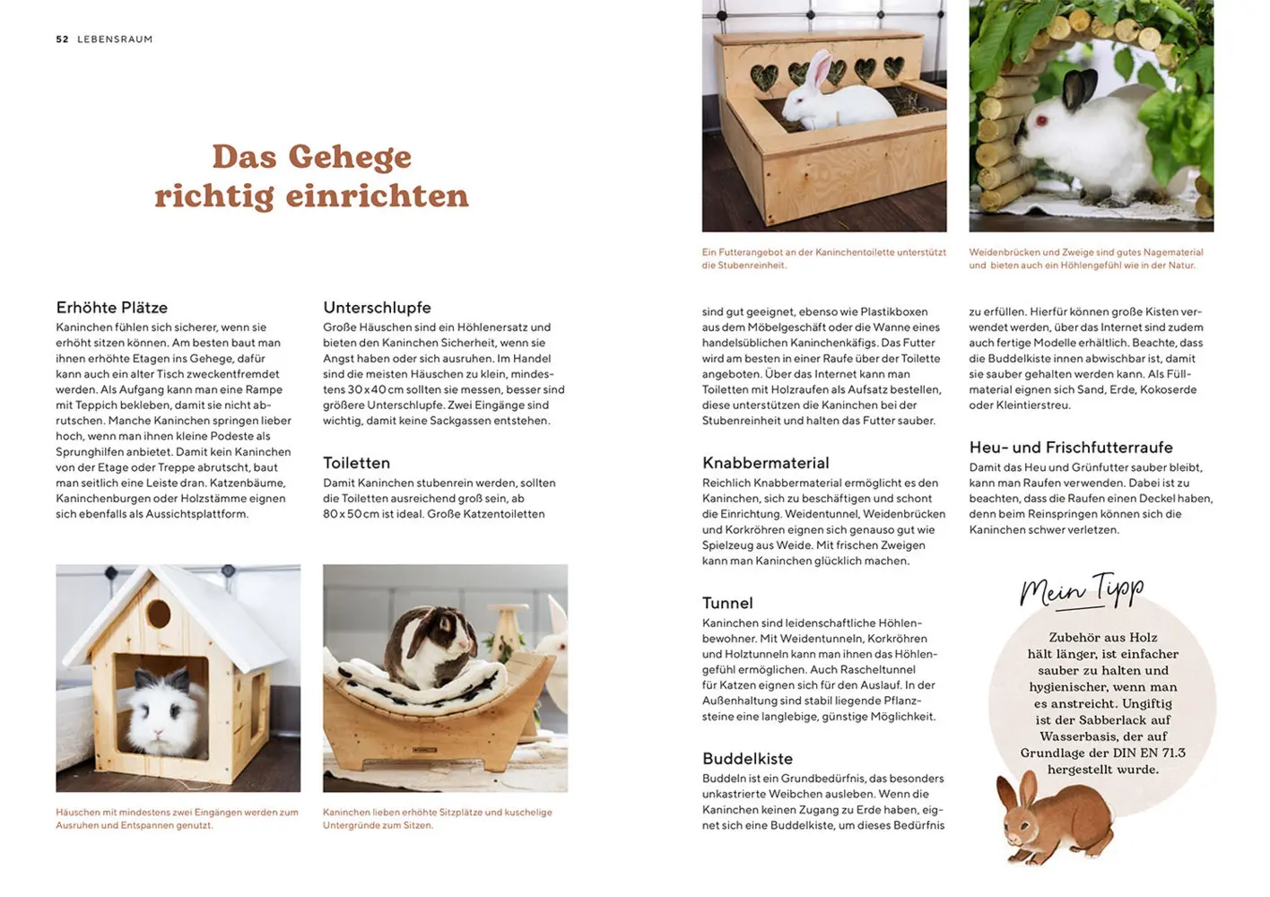 Bild: 9783440175620 | Zwergkaninchen | Viola Schillinger | Taschenbuch | Mein Tier | 104 S.