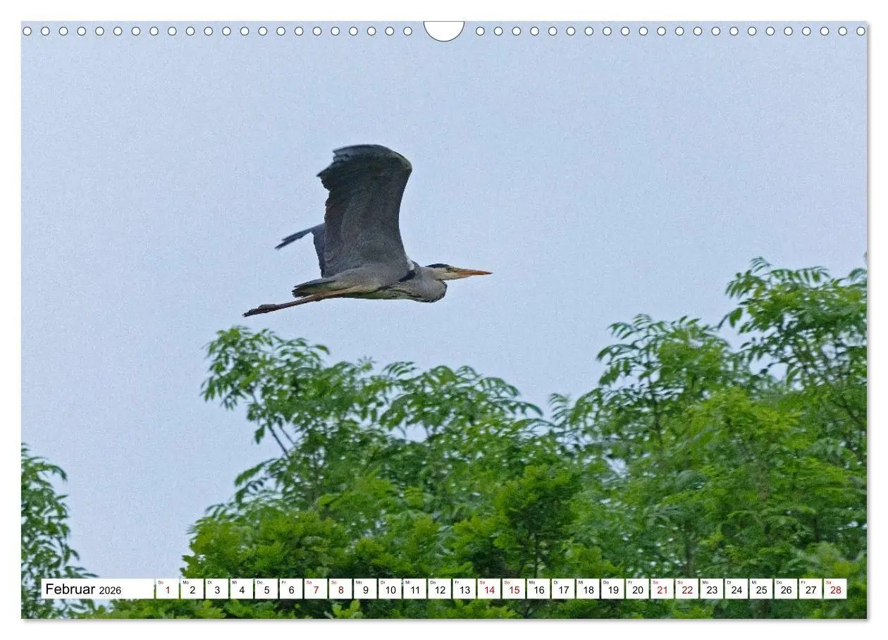 Bild: 9783516715620 | Angeln - Landschaft zwischen Schlei und Flensburger Förde...