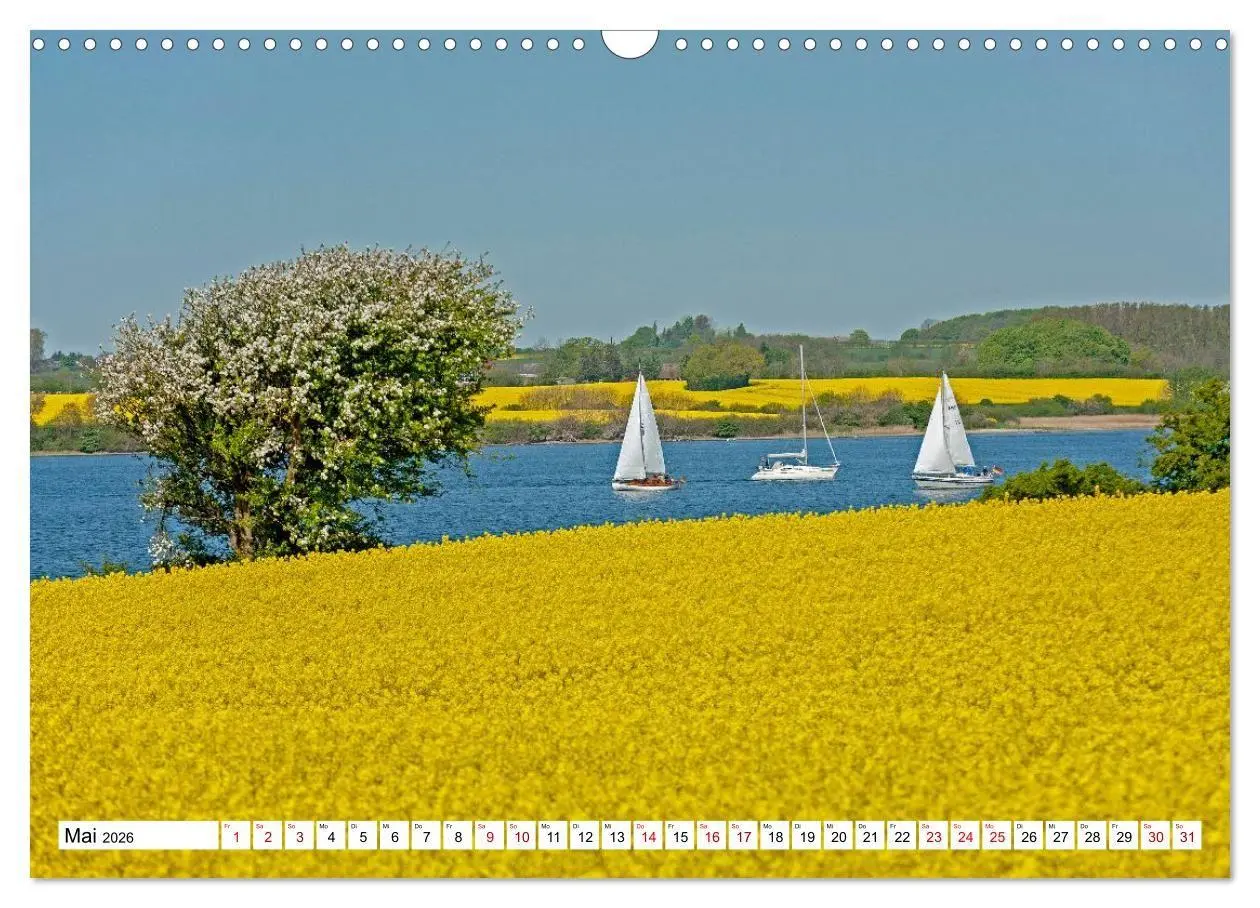 Bild: 9783516715620 | Angeln - Landschaft zwischen Schlei und Flensburger Förde...