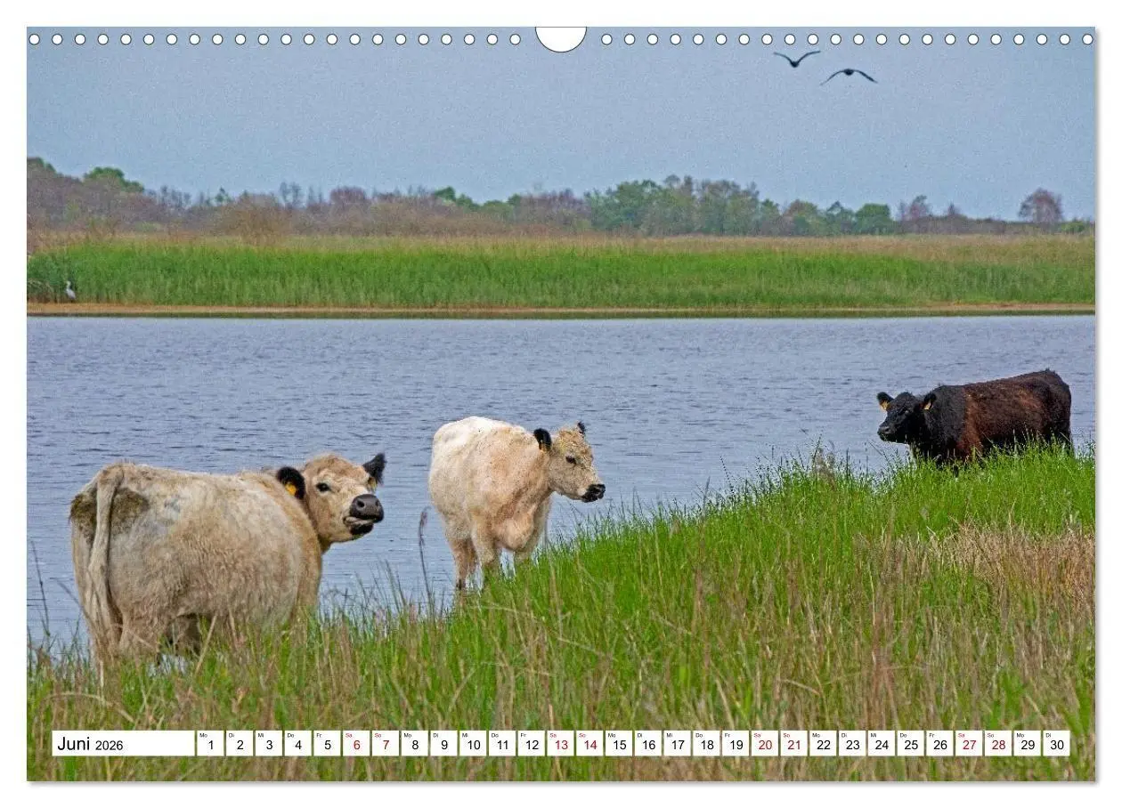 Bild: 9783516715620 | Angeln - Landschaft zwischen Schlei und Flensburger Förde...