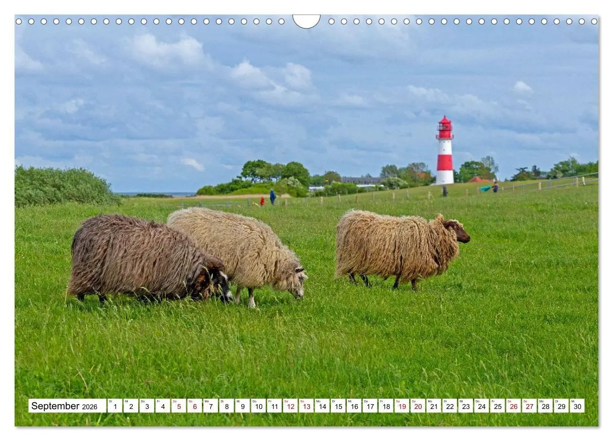 Bild: 9783516715620 | Angeln - Landschaft zwischen Schlei und Flensburger Förde...