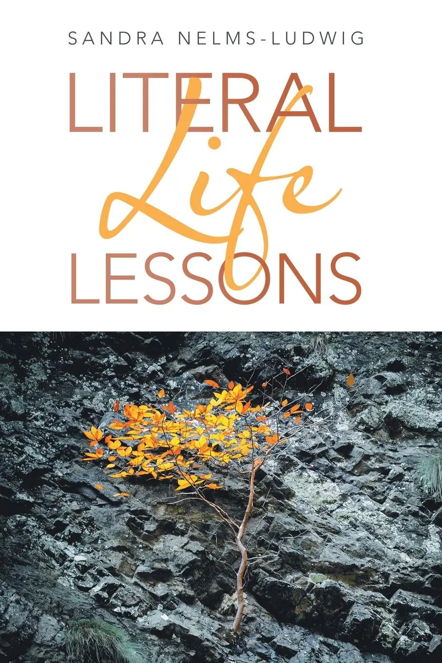 Cover: 9781489735720 | Literal Life Lessons | Sandra Nelms-Ludwig | Taschenbuch | Englisch