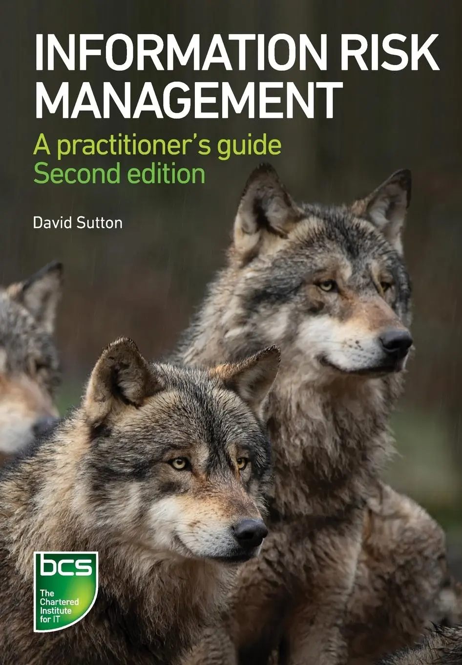 Cover: 9781780175720 | Information Risk Management | A practitioner's guide | David Sutton