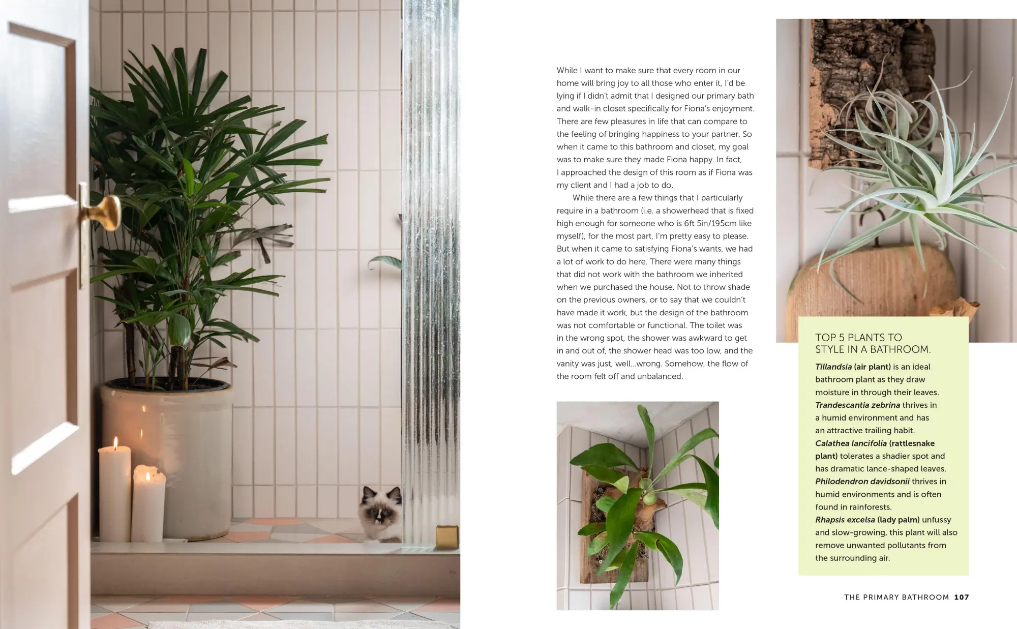 Bild: 9781800655720 | Unfurled | Designing a Living Home | Hilton Carter | Buch | Englisch