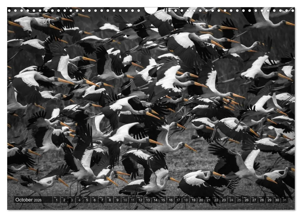 Bild: 9783516565720 | tanzania fine art (Wall Calendar 2026 DIN A3 landscape), CALVENDO...