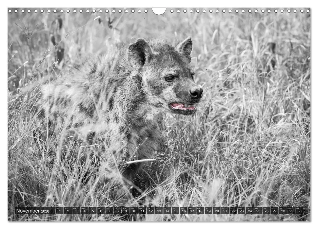 Bild: 9783516565720 | tanzania fine art (Wall Calendar 2026 DIN A3 landscape), CALVENDO...