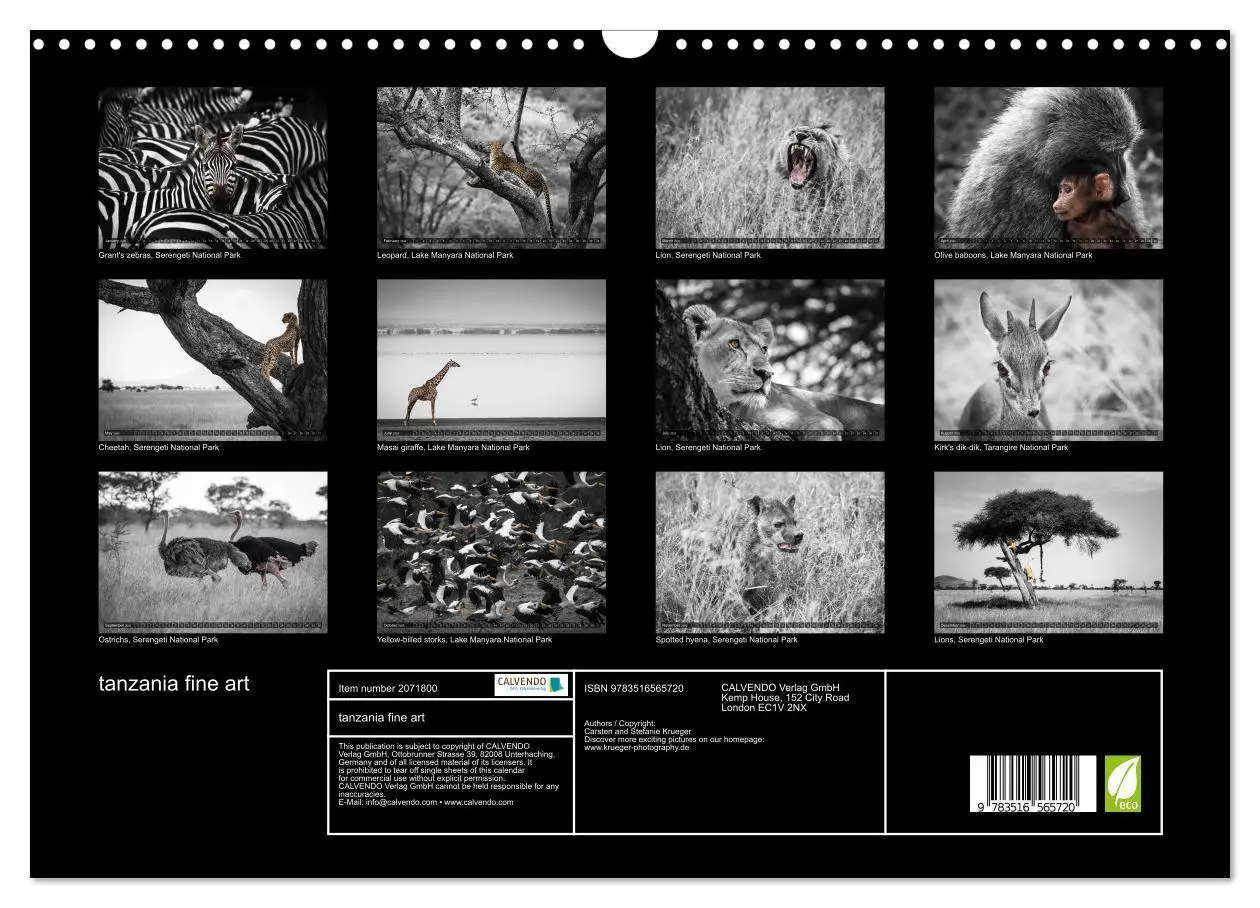 Bild: 9783516565720 | tanzania fine art (Wall Calendar 2026 DIN A3 landscape), CALVENDO...