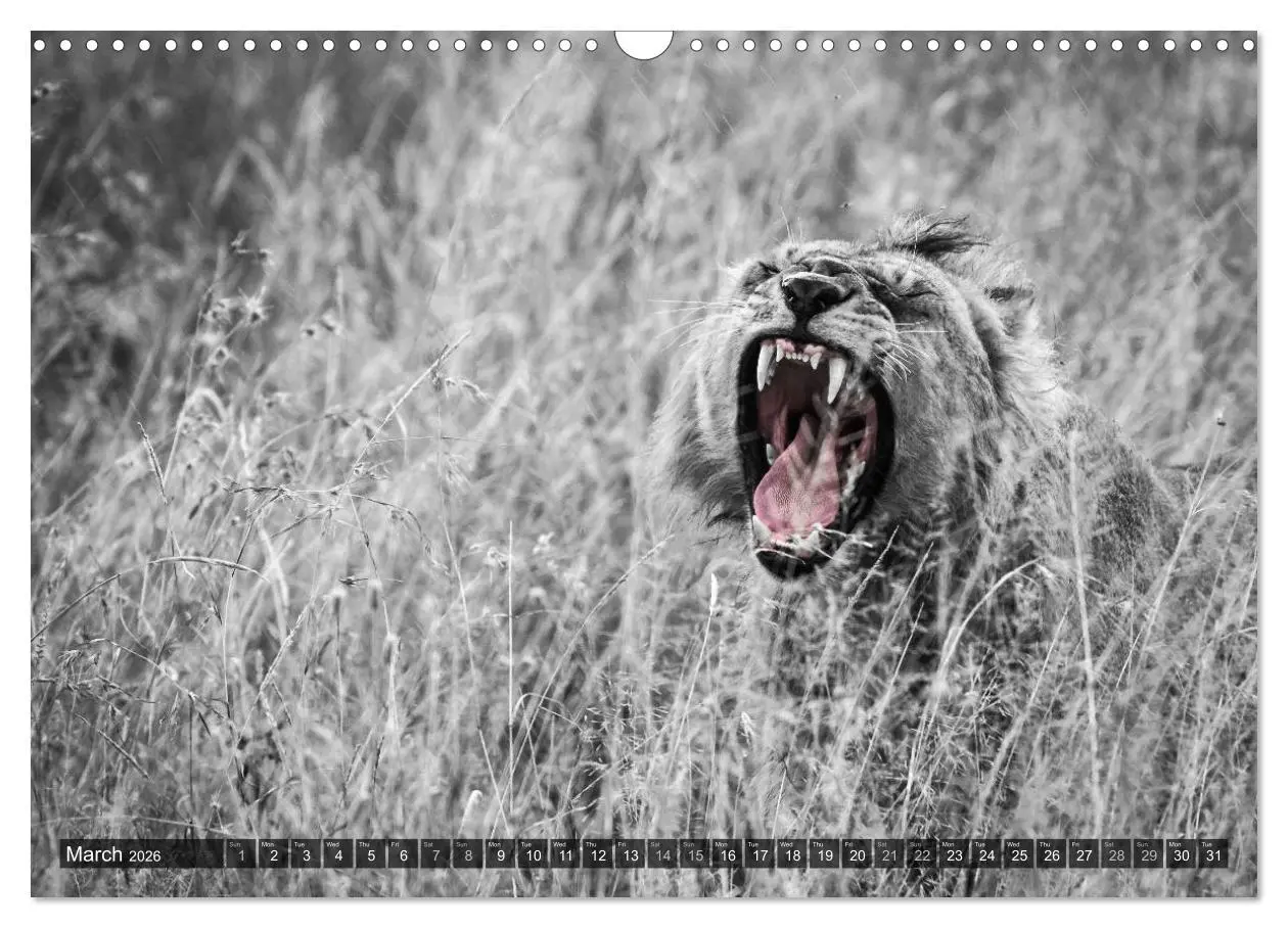 Bild: 9783516565720 | tanzania fine art (Wall Calendar 2026 DIN A3 landscape), CALVENDO...