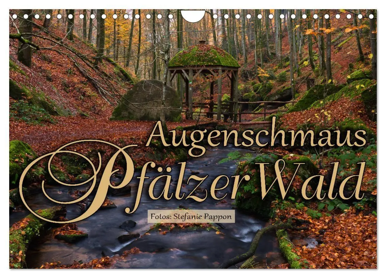 Cover: 9783569585720 | Augenschmaus Pfälzer Wald (Wandkalender 2027 DIN A4 quer), CALVENDO...