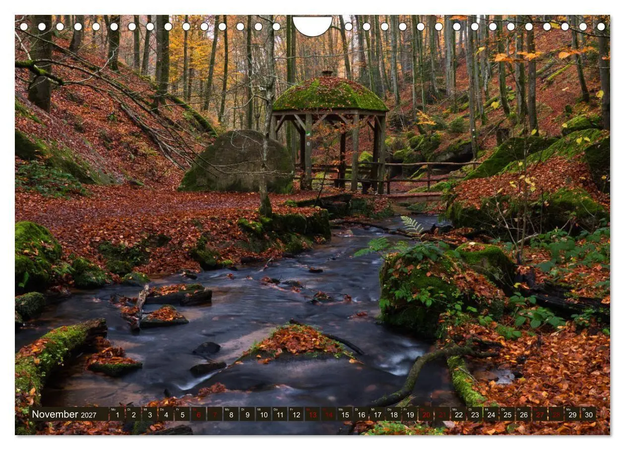 Bild: 9783569585720 | Augenschmaus Pfälzer Wald (Wandkalender 2027 DIN A4 quer), CALVENDO...