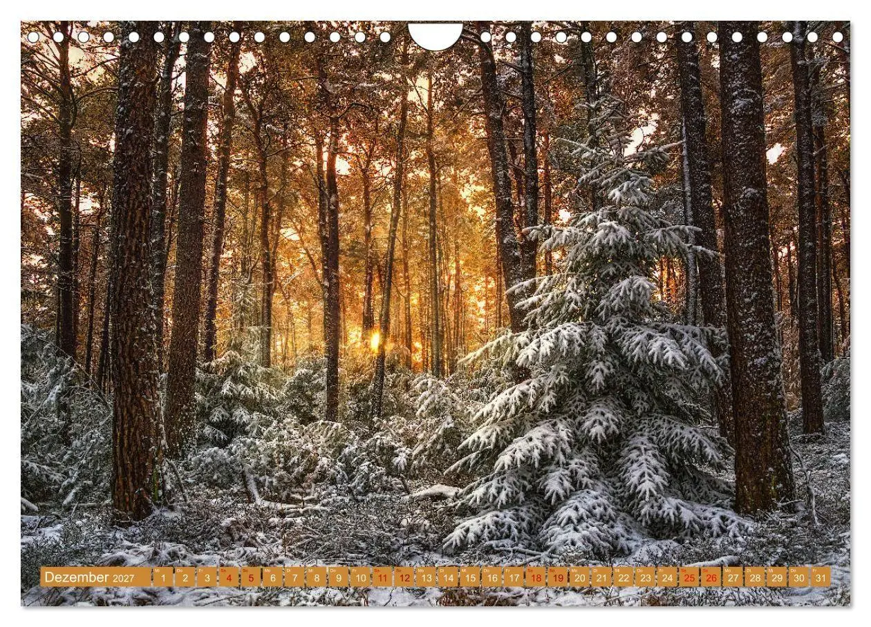 Bild: 9783569585720 | Augenschmaus Pfälzer Wald (Wandkalender 2027 DIN A4 quer), CALVENDO...