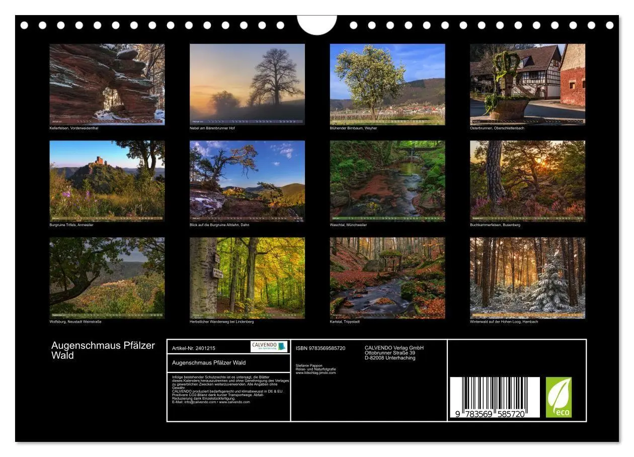 Bild: 9783569585720 | Augenschmaus Pfälzer Wald (Wandkalender 2027 DIN A4 quer), CALVENDO...