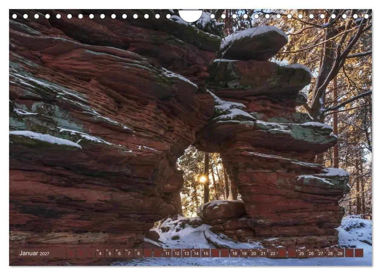 Bild: 9783569585720 | Augenschmaus Pfälzer Wald (Wandkalender 2027 DIN A4 quer), CALVENDO...