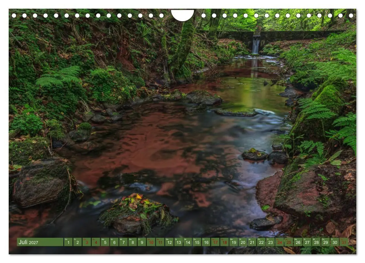 Bild: 9783569585720 | Augenschmaus Pfälzer Wald (Wandkalender 2027 DIN A4 quer), CALVENDO...