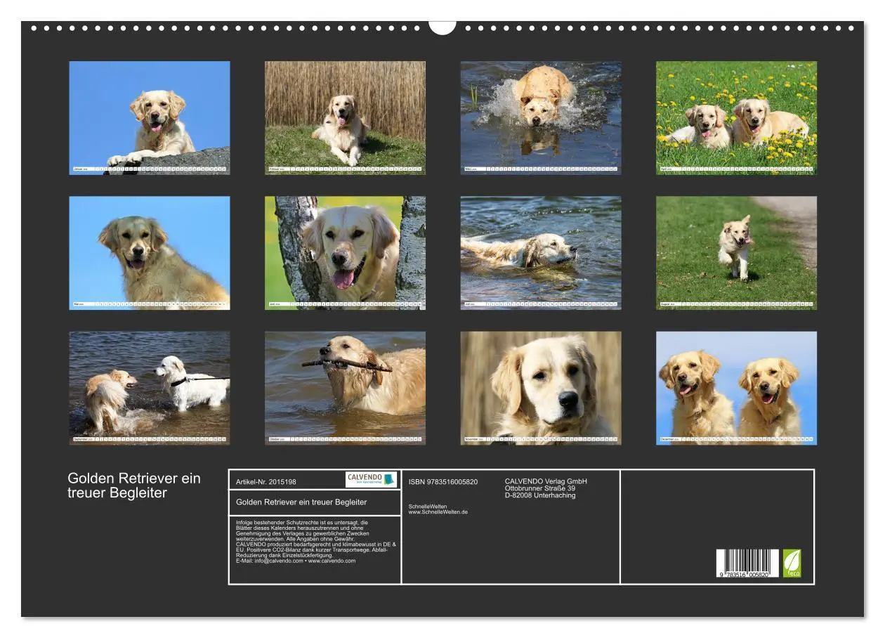 Bild: 9783516005820 | Golden Retriever ein treuer Begleiter (Wandkalender 2026 DIN A2...