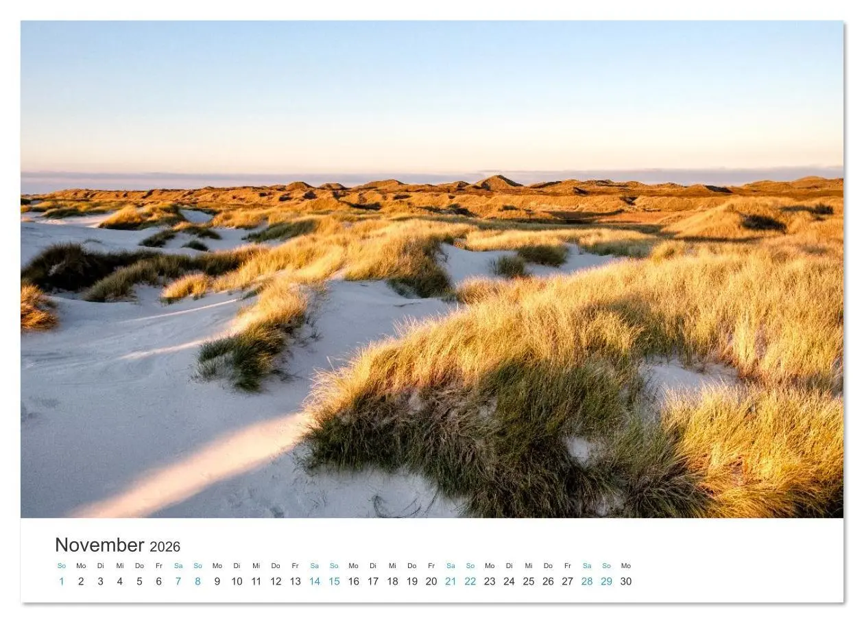 Bild: 9783516625820 | Amrum: Natur und Freiheit (Wandkalender 2026 DIN A4 quer), CALVENDO...