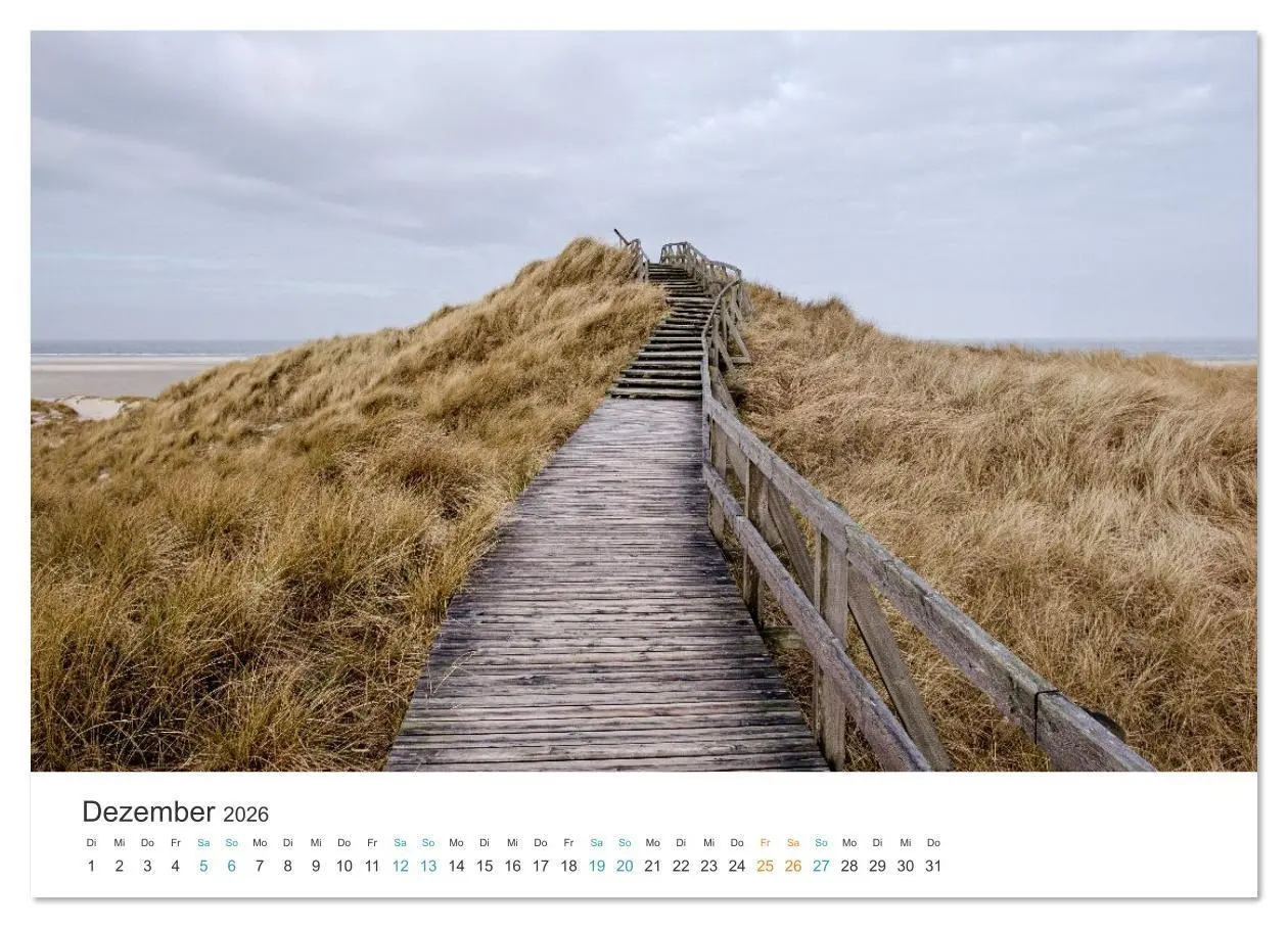 Bild: 9783516625820 | Amrum: Natur und Freiheit (Wandkalender 2026 DIN A4 quer), CALVENDO...