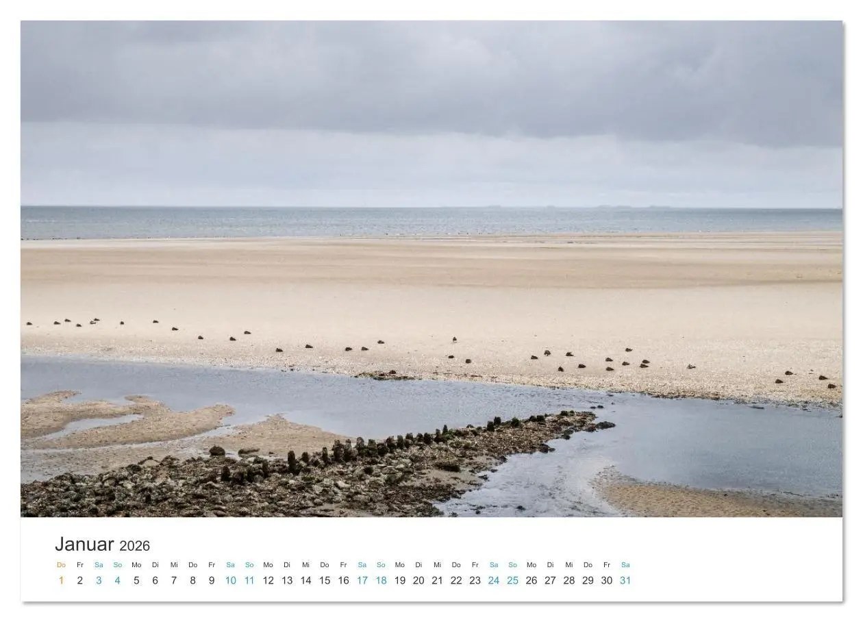 Bild: 9783516625820 | Amrum: Natur und Freiheit (Wandkalender 2026 DIN A4 quer), CALVENDO...