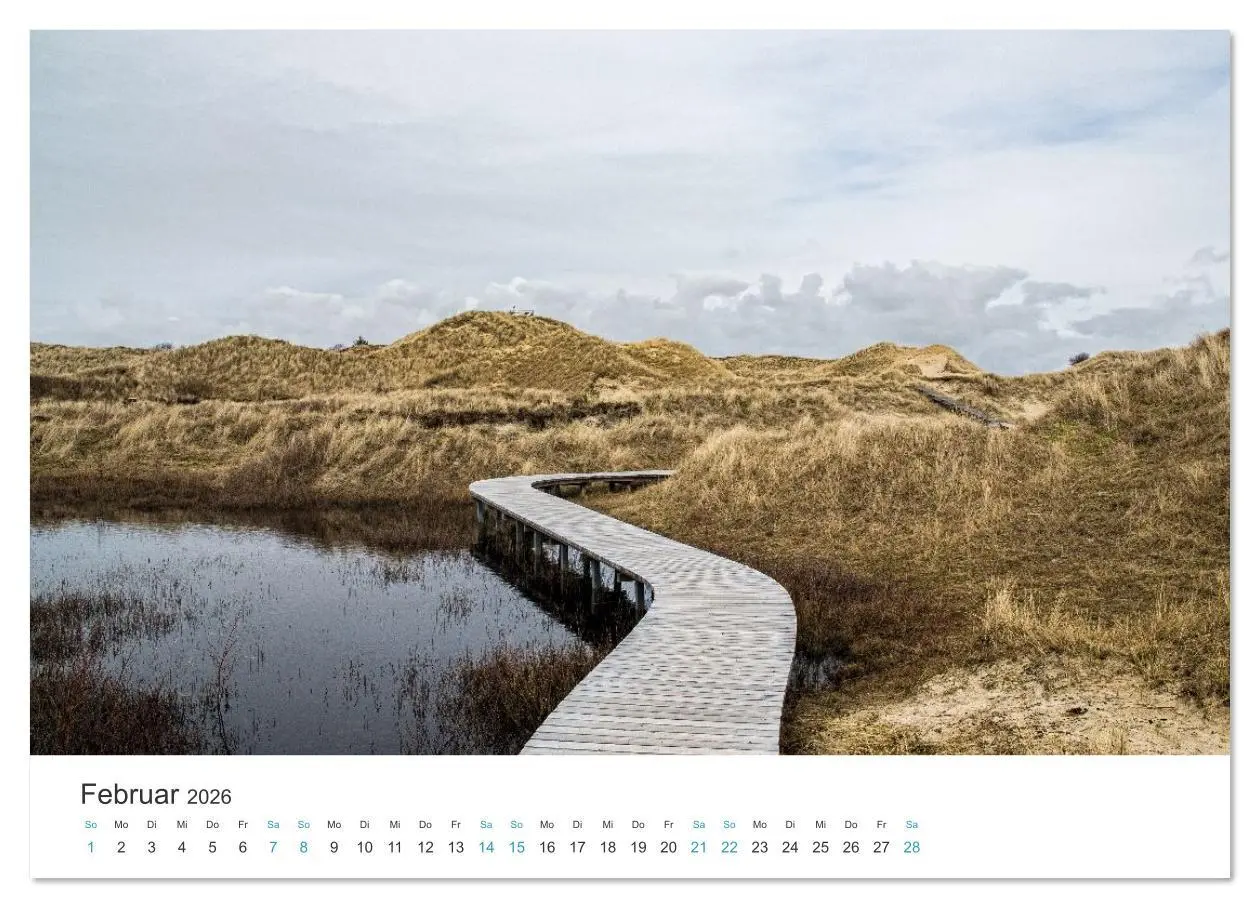 Bild: 9783516625820 | Amrum: Natur und Freiheit (Wandkalender 2026 DIN A4 quer), CALVENDO...