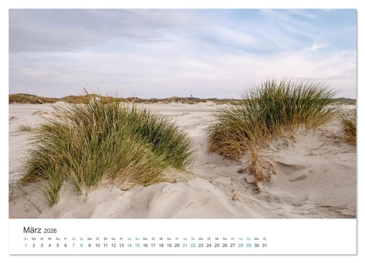 Bild: 9783516625820 | Amrum: Natur und Freiheit (Wandkalender 2026 DIN A4 quer), CALVENDO...
