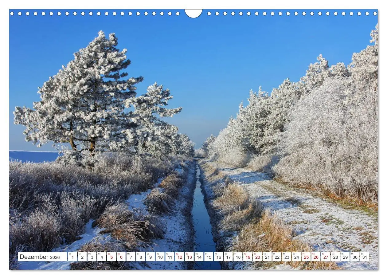 Bild: 9783457905920 | ST. PETER ORDING Strand und Meer (Wandkalender 2026 DIN A3 quer),...