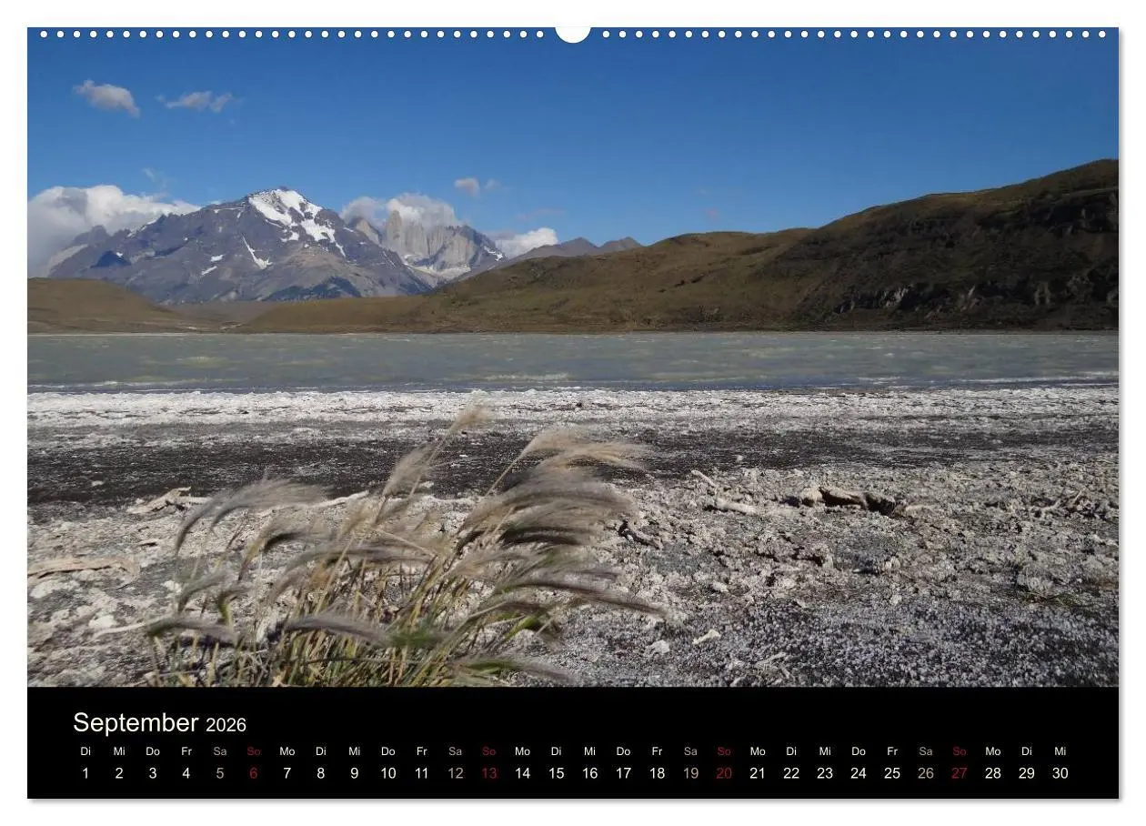 Bild: 9783516165920 | Im Nationalpark Torres del Paine (Chile) (Wandkalender 2026 DIN A2...