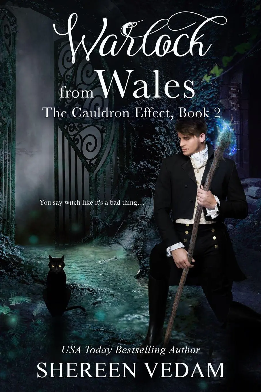 Cover: 9781989036020 | Warlock from Wales | The Cauldron Effect, Book 2 | Shereen Vedam