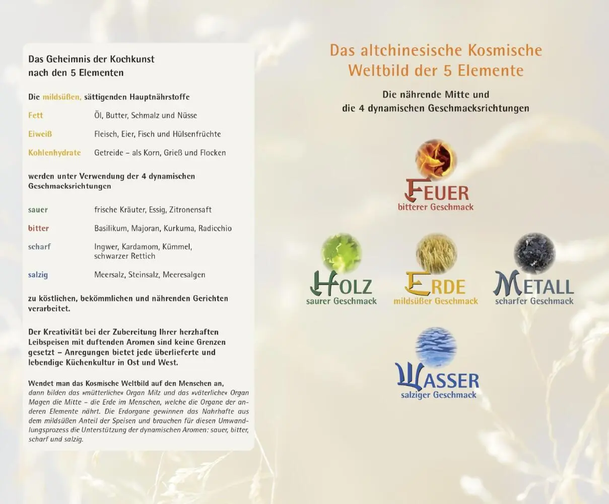 Rückseite: 9783426656020 | Mit der 5-Elemente-Ernährung zur Wohlfühlfigur | Barbara Temelie