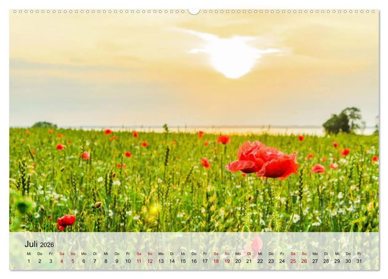 Bild: 9783457276020 | Schwedeneck Natur und Meer (hochwertiger Premium Wandkalender 2026...