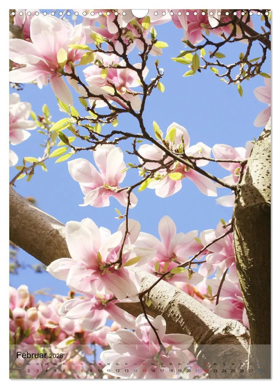 Bild: 9783516366020 | Ferien im Garten (Wandkalender 2026 DIN A3 hoch), CALVENDO...