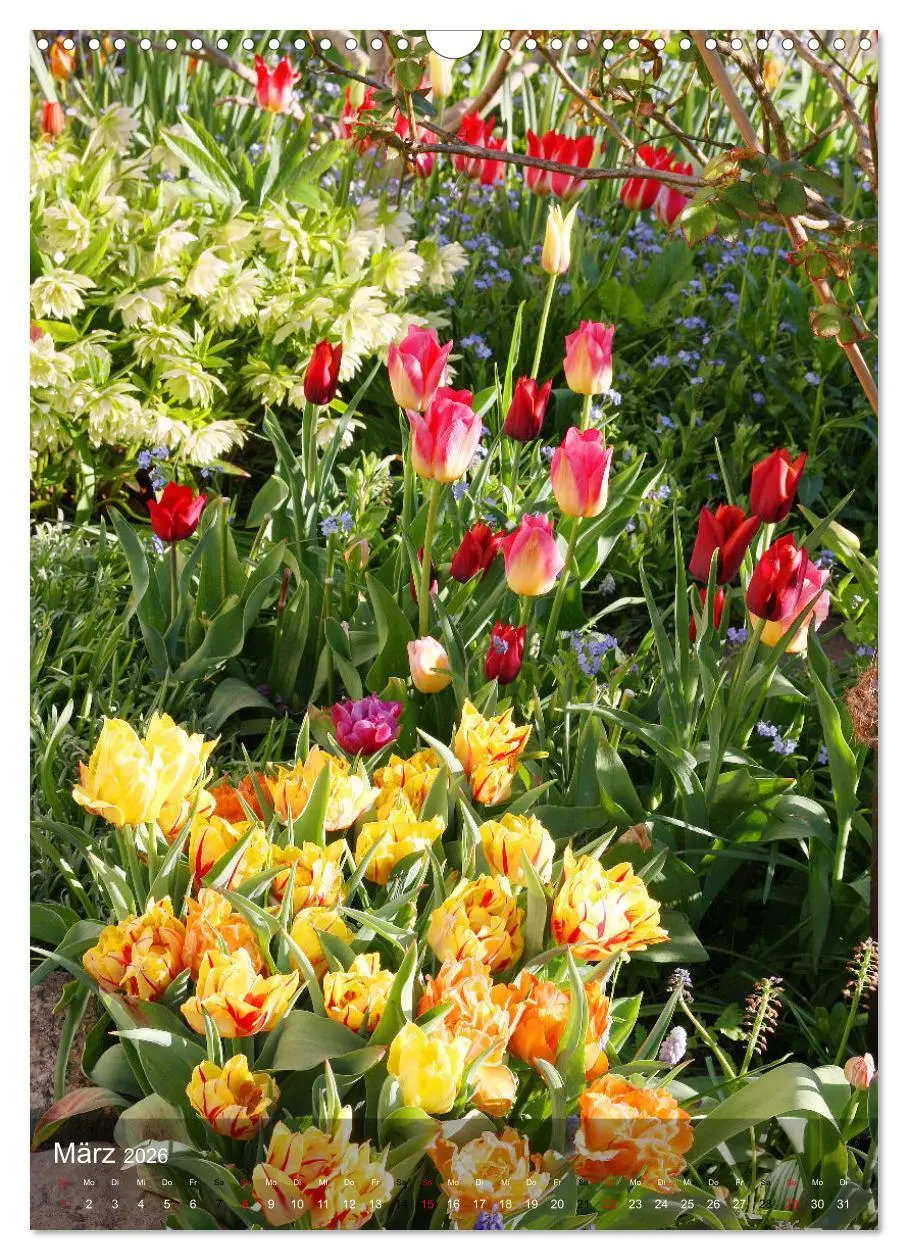Bild: 9783516366020 | Ferien im Garten (Wandkalender 2026 DIN A3 hoch), CALVENDO...