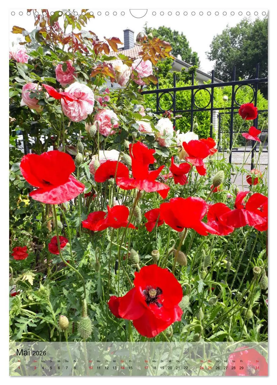 Bild: 9783516366020 | Ferien im Garten (Wandkalender 2026 DIN A3 hoch), CALVENDO...