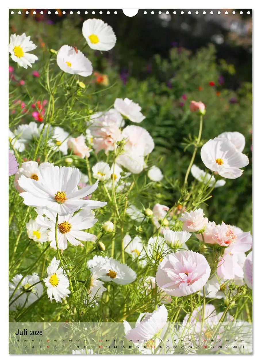 Bild: 9783516366020 | Ferien im Garten (Wandkalender 2026 DIN A3 hoch), CALVENDO...