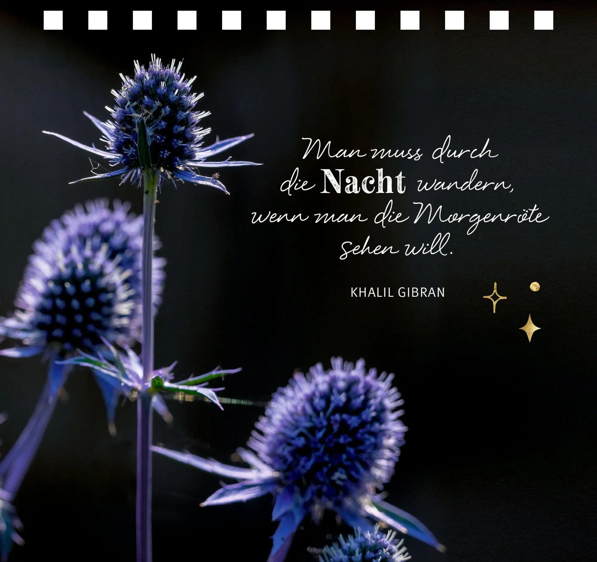 Bild: 9783649646020 | Sternstunden für die Seele | Christina Kölsch | Taschenbuch | 176 S.