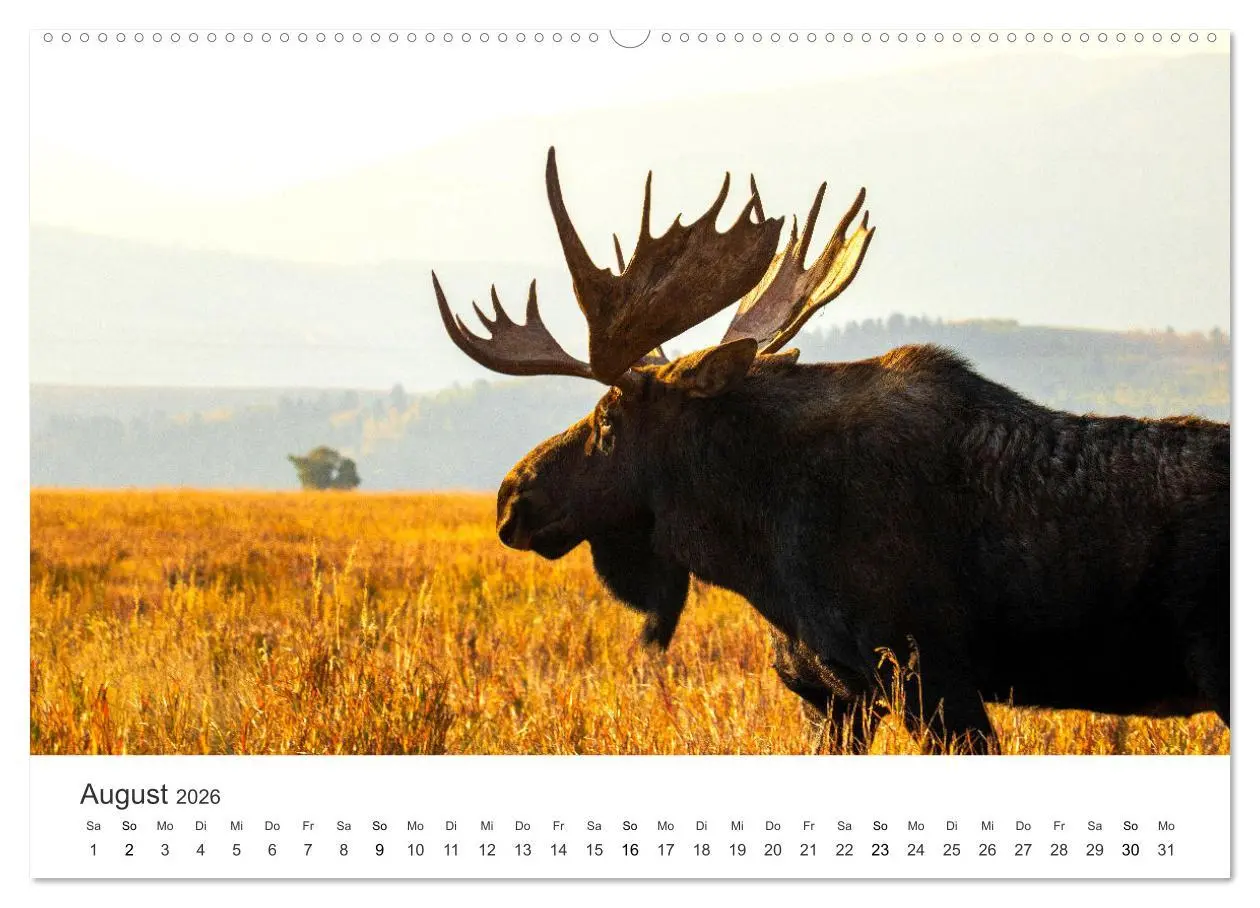 Bild: 9783457576120 | Wyoming - Der Bundesstaat der großen Ebenen. (Wandkalender 2026 DIN...