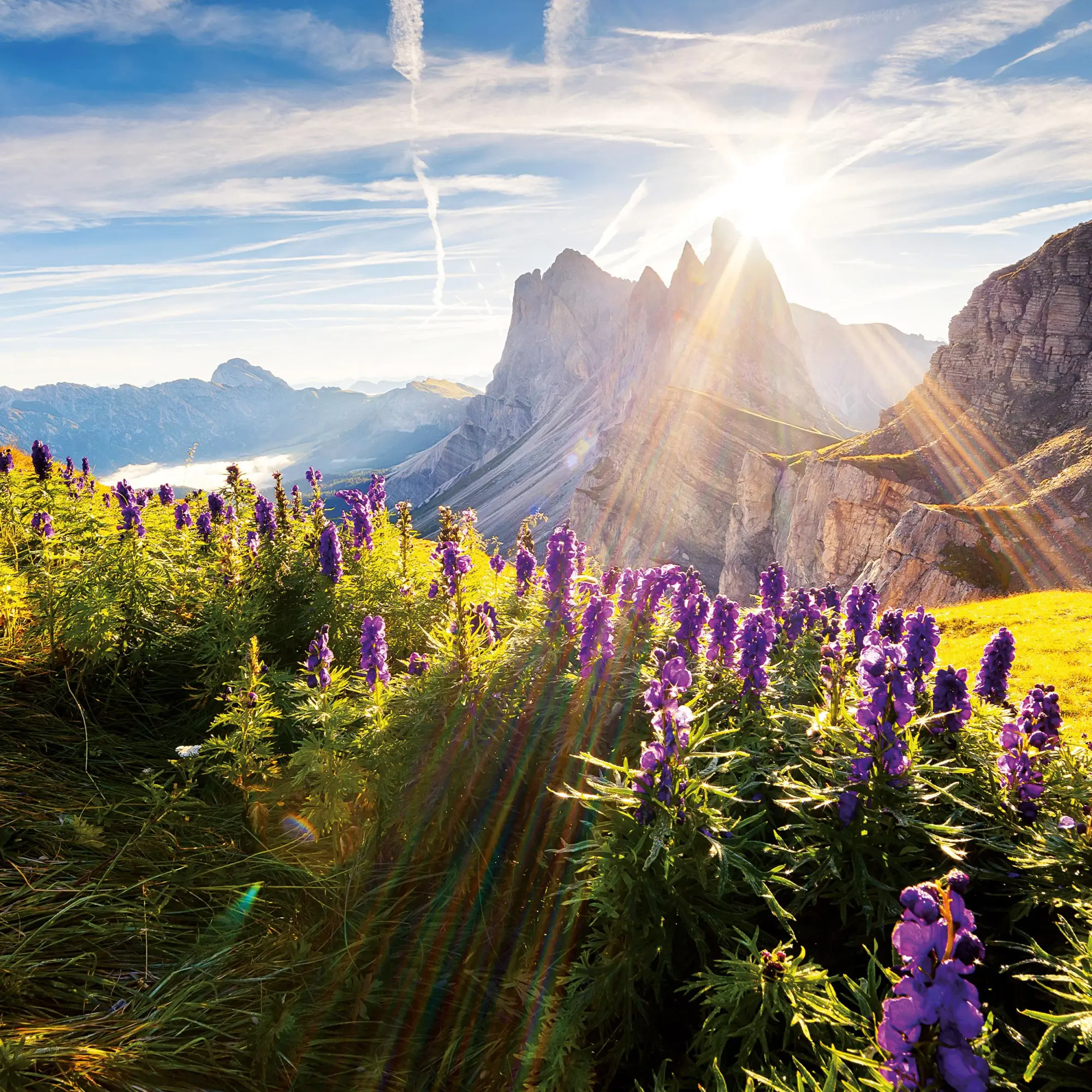 Bild: 9783959296120 | Alpen 2026 | Kalender 2026 | Kalender | Artwork Edition | 28 S. | 2026