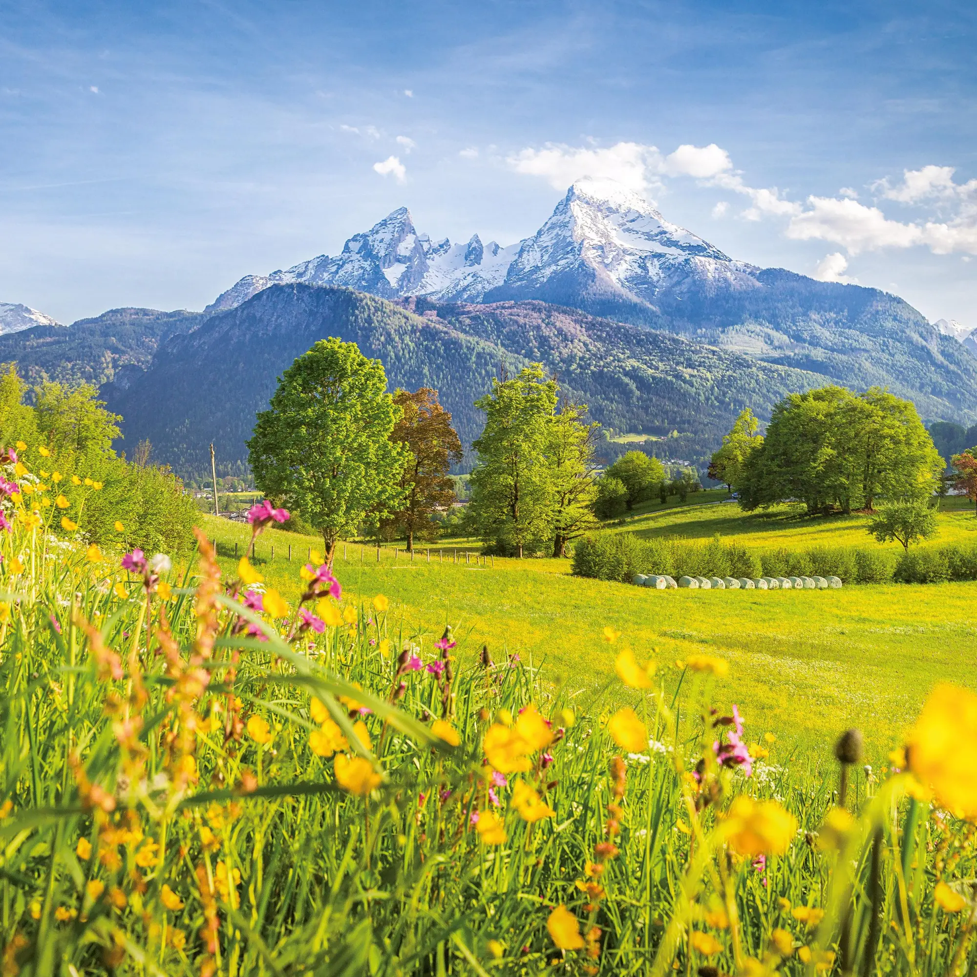 Bild: 9783959296120 | Alpen 2026 | Kalender 2026 | Kalender | Artwork Edition | 28 S. | 2026