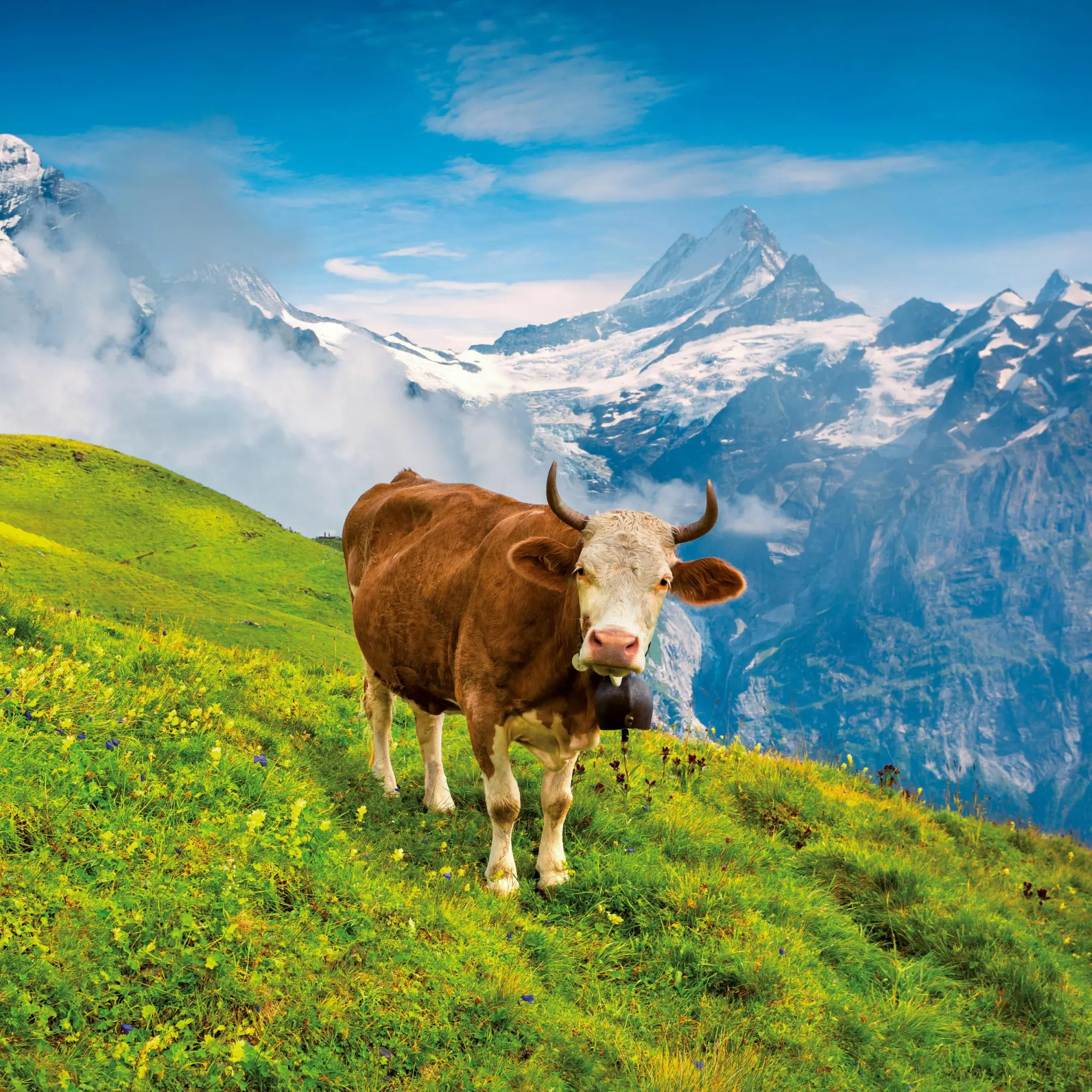 Bild: 9783959296120 | Alpen 2026 | Kalender 2026 | Kalender | Artwork Edition | 28 S. | 2026