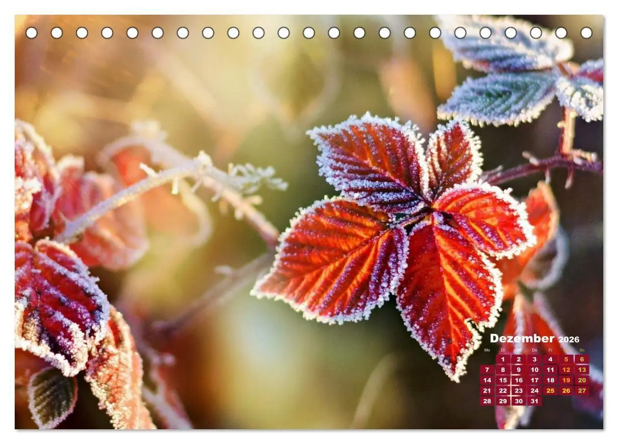 Bild: 9783516706420 | Die Welt in Orange (Tischkalender 2026 DIN A5 quer), CALVENDO...