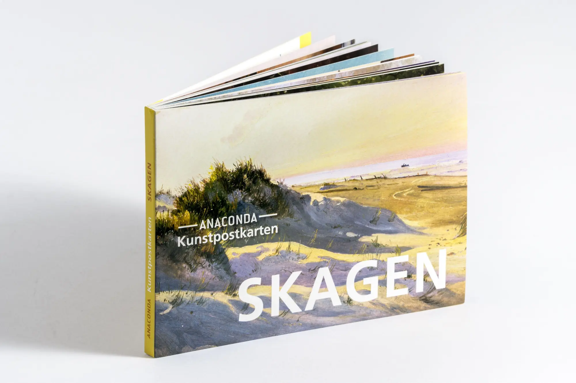 Bild: 9783730616420 | Postkarten-Set Skagen | 18 Kunstpostkarten | Anaconda Verlag | Buch