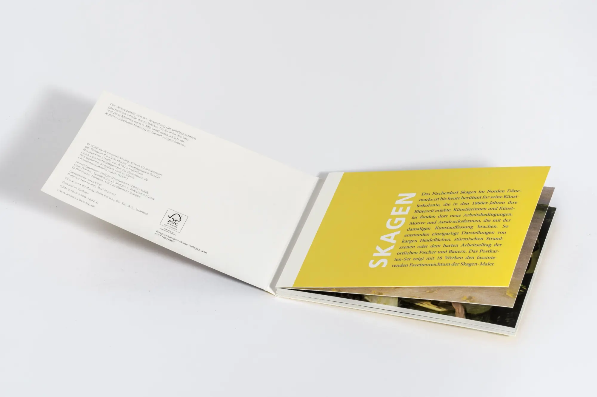 Bild: 9783730616420 | Postkarten-Set Skagen | 18 Kunstpostkarten | Anaconda Verlag | Buch