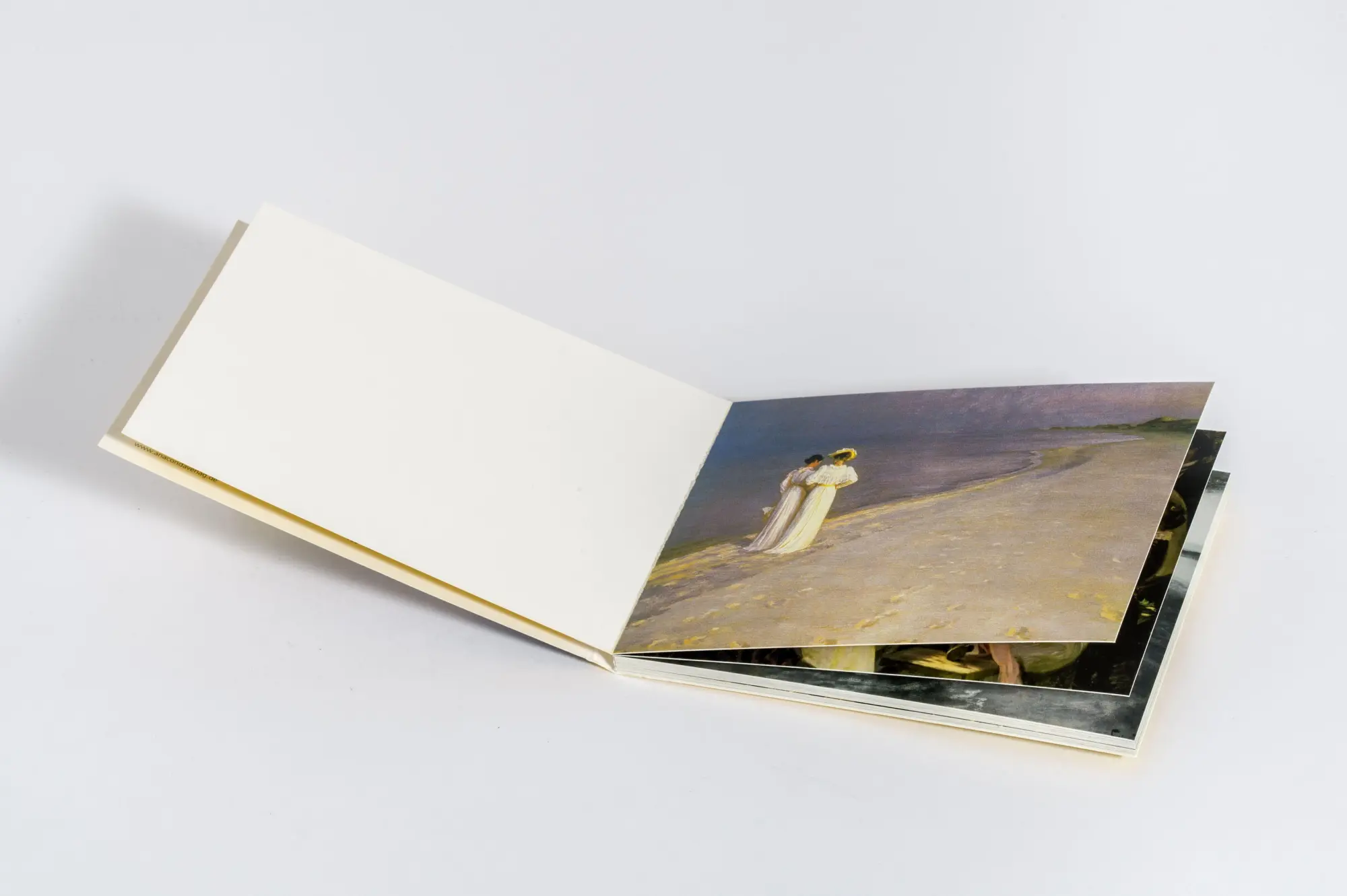 Bild: 9783730616420 | Postkarten-Set Skagen | 18 Kunstpostkarten | Anaconda Verlag | Buch