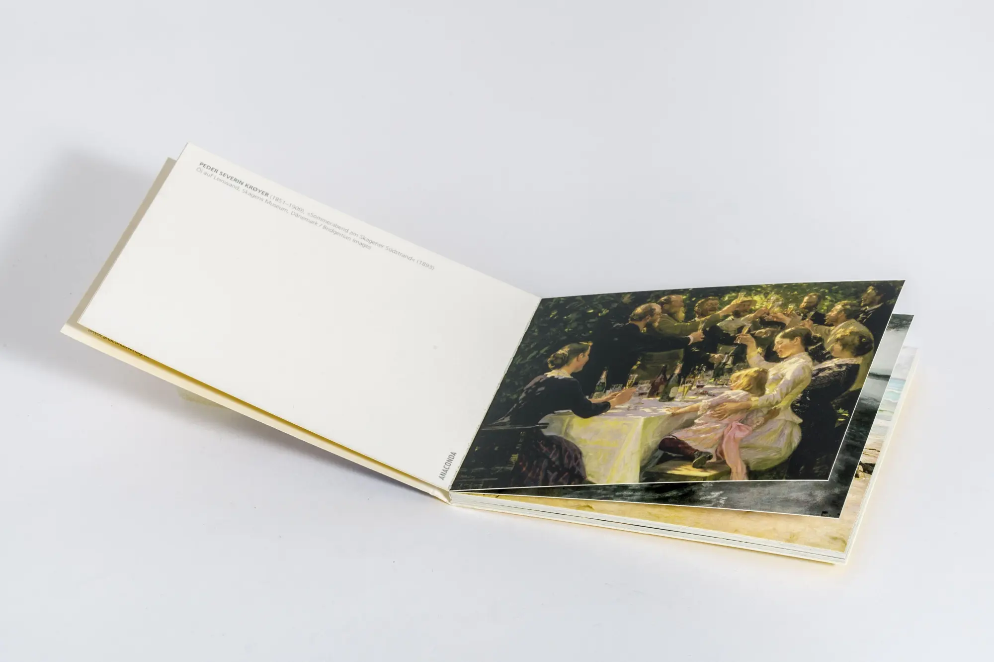 Bild: 9783730616420 | Postkarten-Set Skagen | 18 Kunstpostkarten | Anaconda Verlag | Buch
