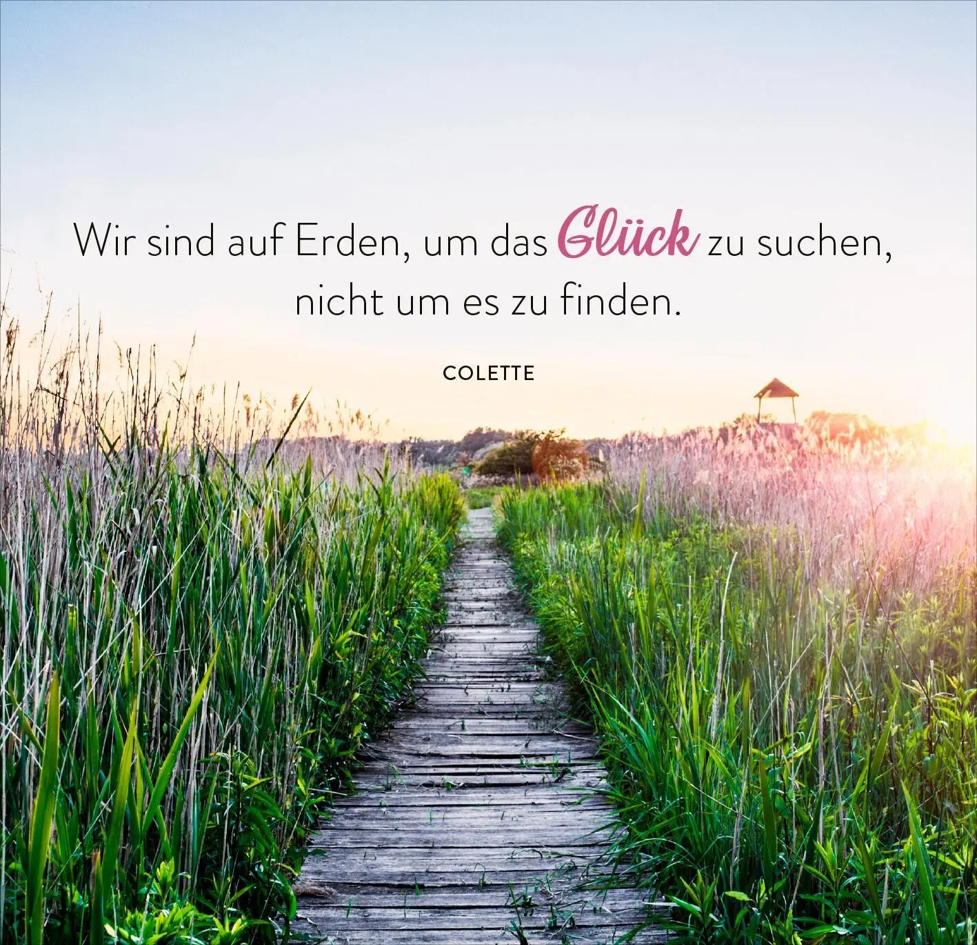 Bild: 9783845866420 | 365 Tage einatmen. Ausatmen. Lächeln. | Taschenbuch | 365 Tage | 2026