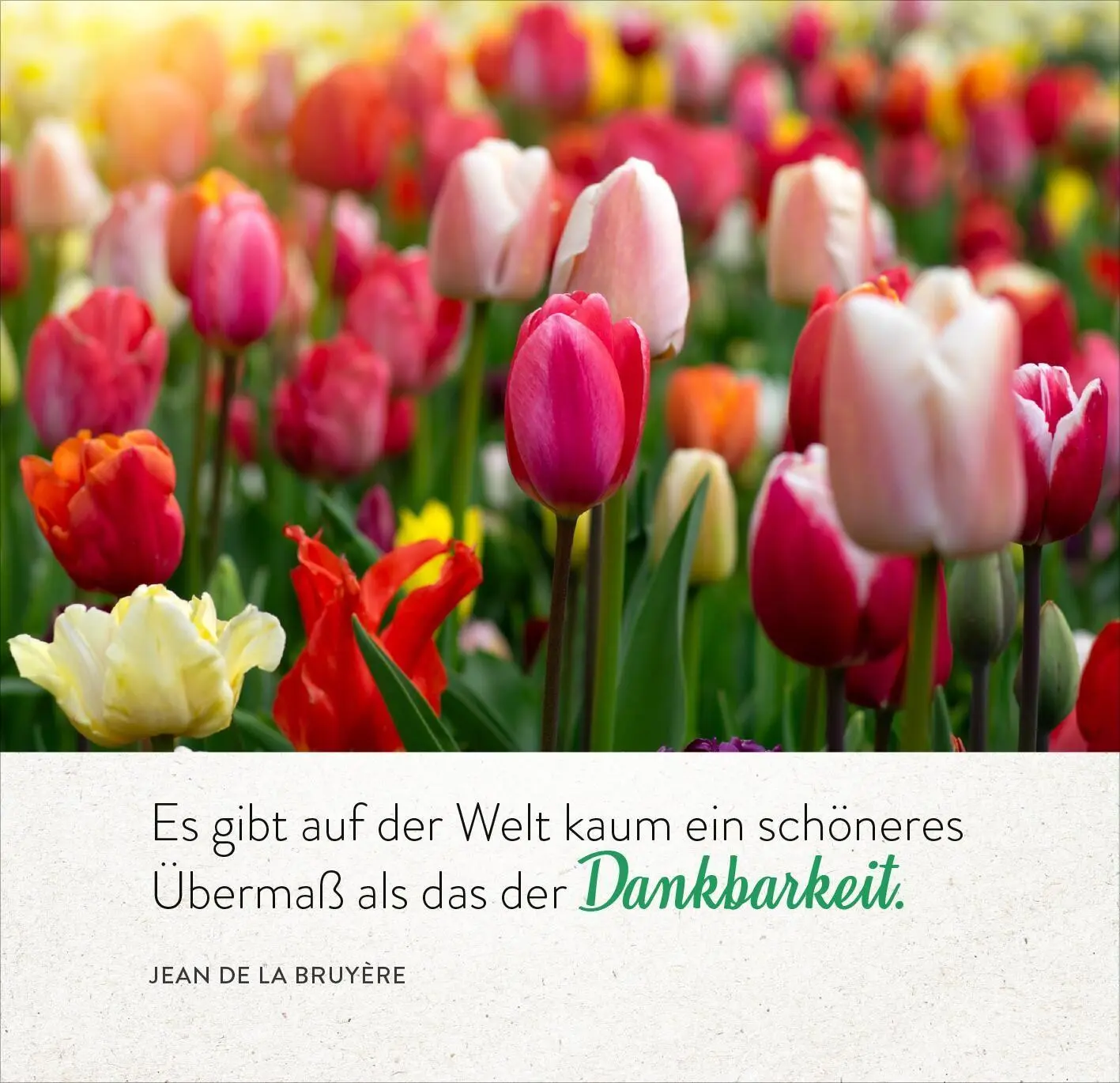 Bild: 9783845866420 | 365 Tage einatmen. Ausatmen. Lächeln. | Taschenbuch | 365 Tage | 2026